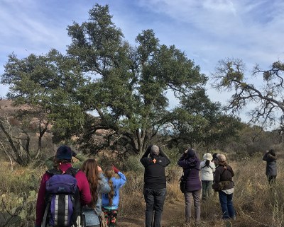 group of birders using binoculars